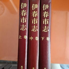 伊村市志（上中下）