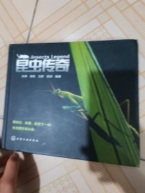 昆虫传奇（无光盘）