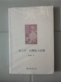 “新文化”的崛起与流播