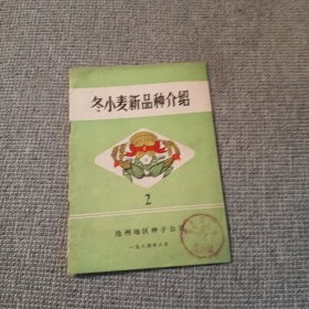 冬小麦新品种介绍