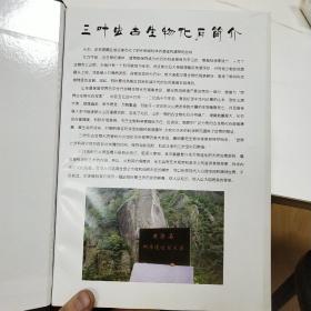 收藏珍品  中国古生物化石