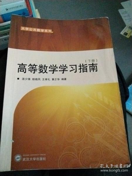 大学公共数学系列：高等数学学习指南（下册）