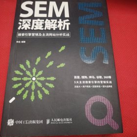 SEM深度解析 搜索引擎营销及主流网站分析实战