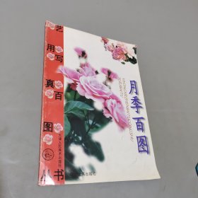 月季百图