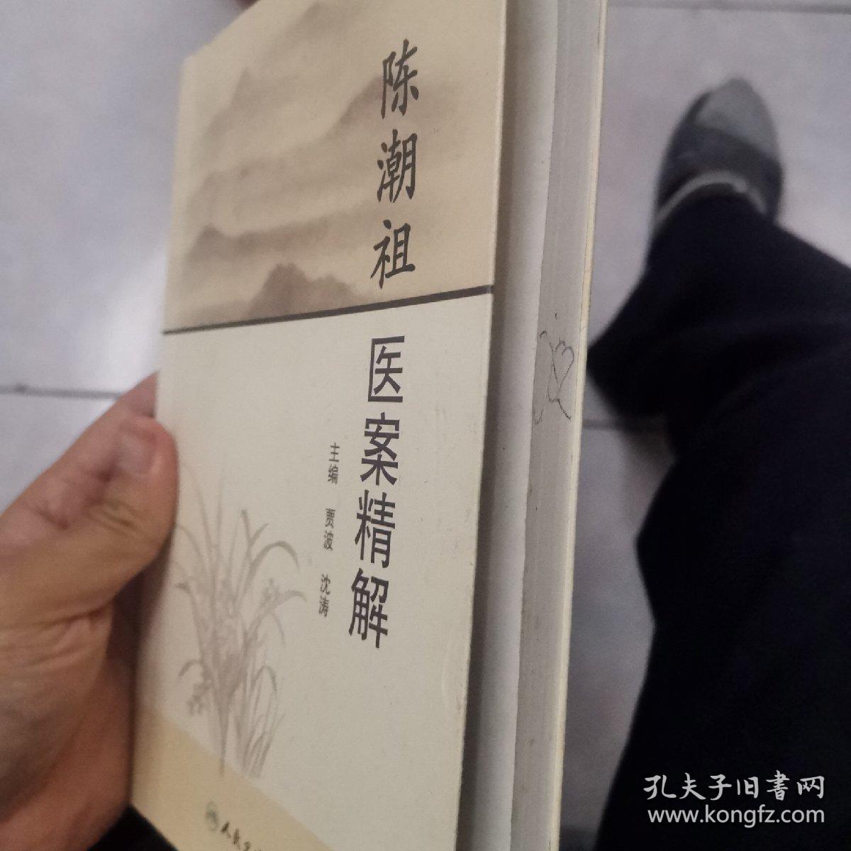 陈潮祖医案精解