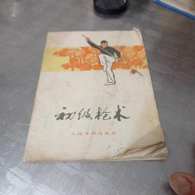 初级枪术