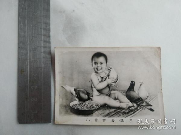 小宝宝爱鸽子 老贺卡