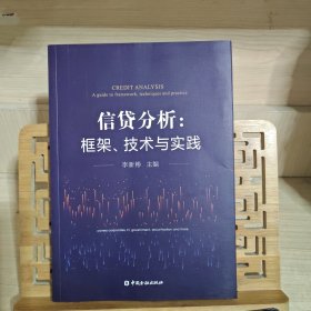 信贷分析：框架、技术与实践