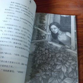 枫林渡