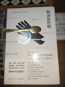 数汤匙的贼
