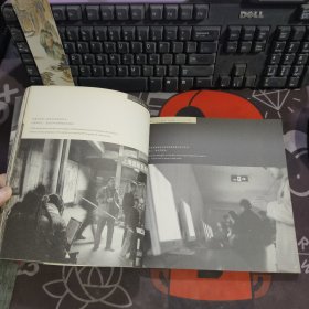 寻桃花源记:2002年上海双年展数码艺术作品:[摄影集]:[中英文本]（一版一印仅2000册）