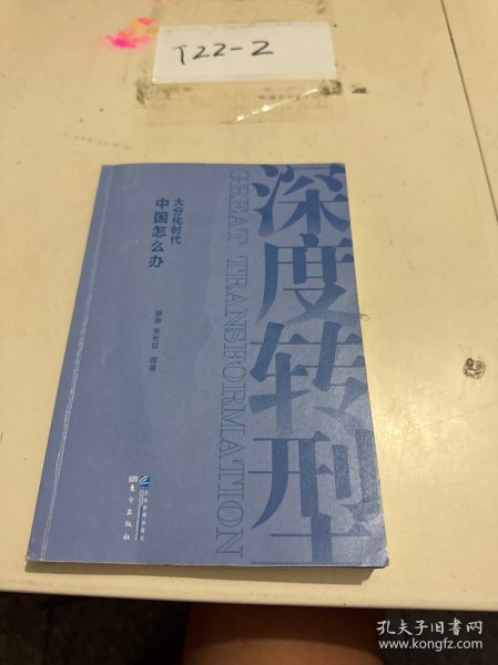 深度转型：大分化时代中国怎么办