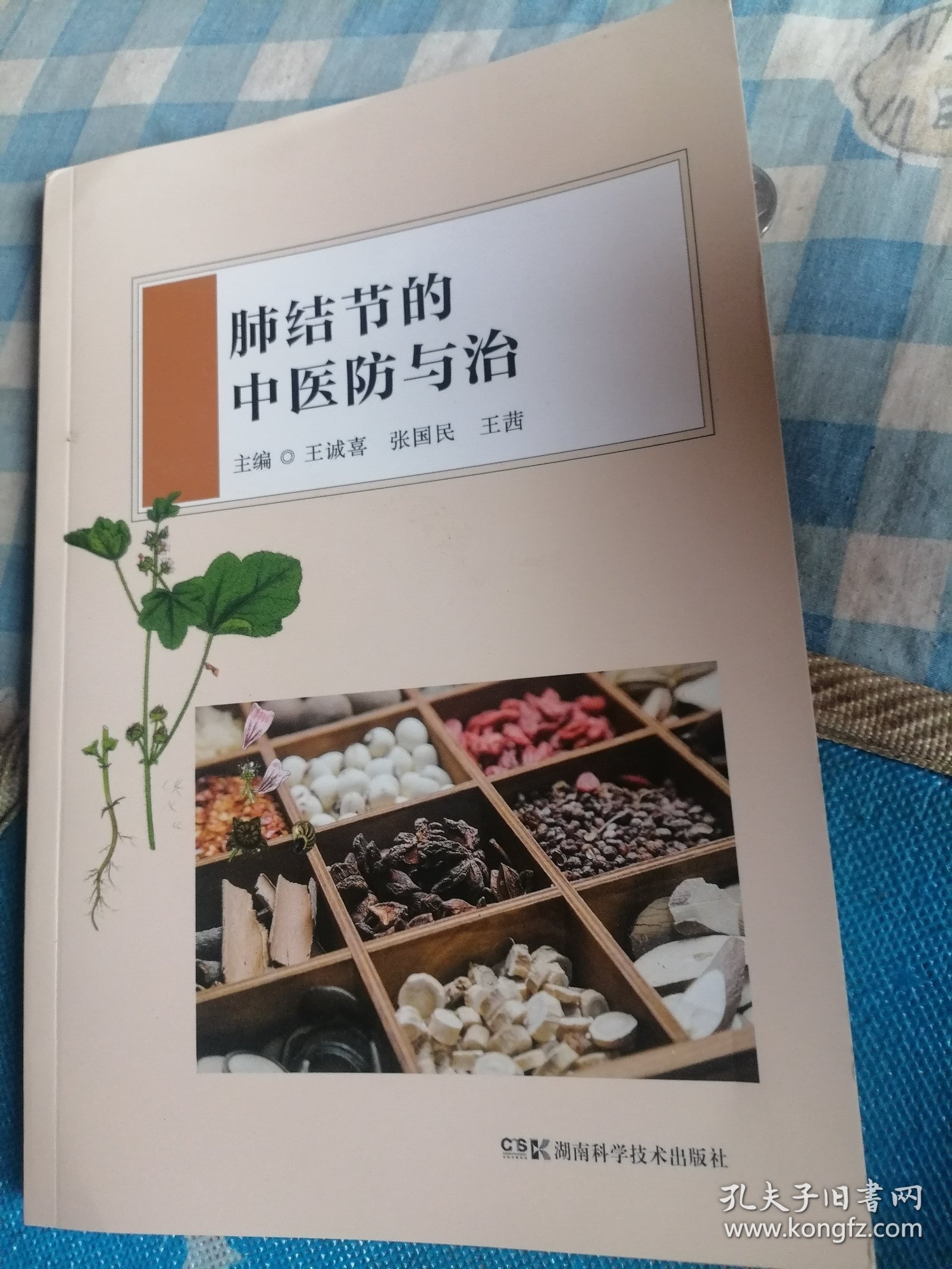 肺结节的中医防与治