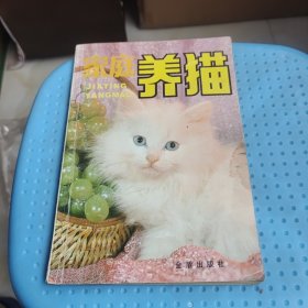 家庭养猫