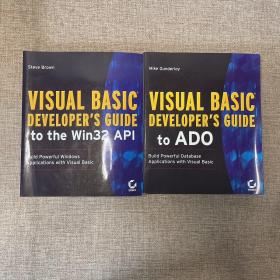 visual basic developer s guide to（the win32 API+ADO）