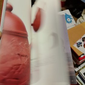 张志清紫砂泥绘艺术