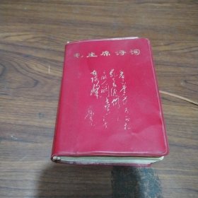 毛主席诗词(中国人民解放军海军工程学院红色造反团1967年大连版)