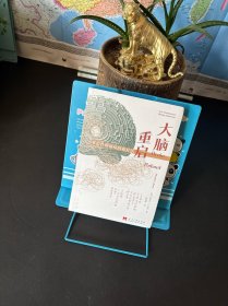 大脑重启:难治性抑郁症的新疗法【全新未拆封】