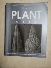 PLANT 2006年