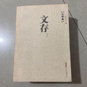 许宗元文存，上下两册