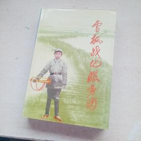 雪枫战地服务团