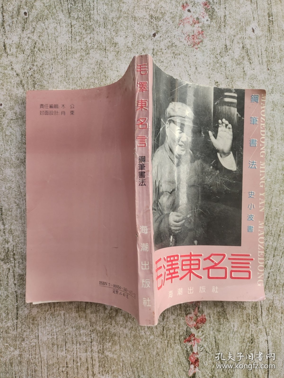 毛泽东名言钢笔书法