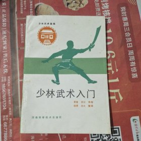 少林武术入门