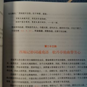 中国古典文学经典名著无障碍阅读丛书:红楼梦(上)随文注音注释，畅达高效阅读