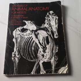 An Atlas of Animal Anatomy for Artists