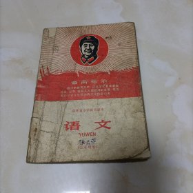 吉林省小学试用课：语文三年级用