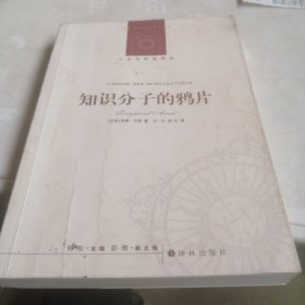 人文与社会译丛：知识分子的鸦片