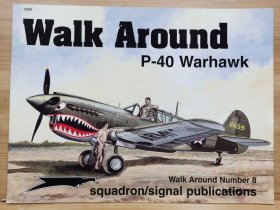 P-40 Warhawk 战鹰 in Action