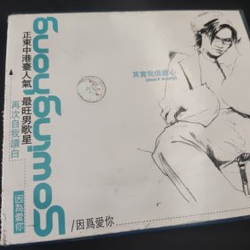 因为爱你 苏永康 CD