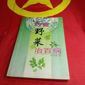 巧食野菜治百病