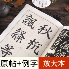 张迁碑(历代经典碑帖高清放大对照本) 9787539469683