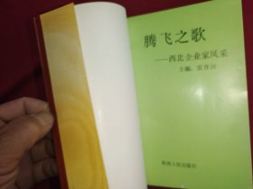 腾飞之歌--西北企业家风采