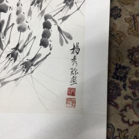 著名国画家、齐白石先生女弟子、山西大学老师杨秀珍先生国画《群虾图》立轴60*30厘米，有上款