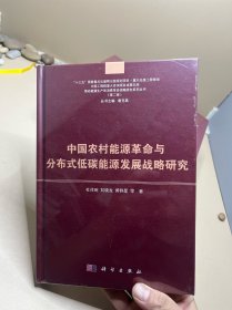 中国农村能源革命与分布式低碳能源发展战略研究