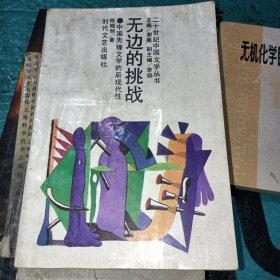 无边的挑战一中国先锋文学的后现代性