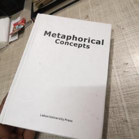 metaphorical  concepts