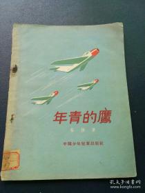 【抗美援朝空军题材小说】《年轻的鹰》年轻雏与老牌鹰的生死对决，插图绘画非常精美！