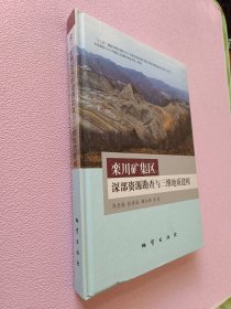 栾川矿集区深部资源勘查与三维地质建模