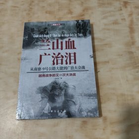 兰山血、广治泪 : 从南寮-9号公路大捷到广治大会战