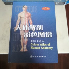 人体解剖彩色图谱