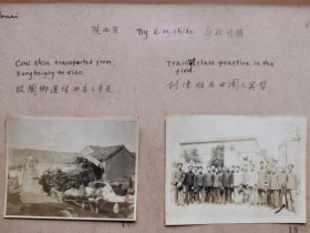 1934年 金陵大学西北考察团乔启明摄 西安老照片2张《金陵大学教授与相关专家在田园合影》《运往西安之牛皮》等 整体尺寸29x22厘米，品相好史料价值高！