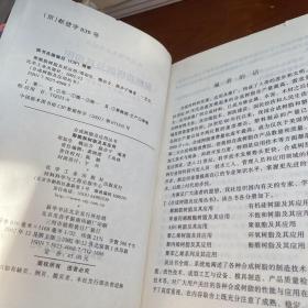 聚酰胺树脂及其应用（合成树脂及其应用丛书）