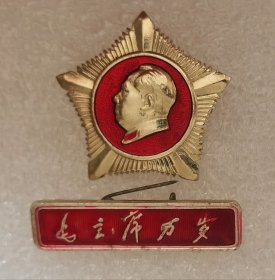像章纪念章 星条 北京