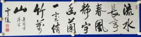 胡云富，字云复，以字行，号南浦，湖南醴陵人，1942年10月16日生于醴陵。中国书法家协会会员，北京师范大学书法协会副主席，国家老年大学及北京师范大学老年大学书法课程教授，河南黄河碑林艺术顾问。胡云富，字云复，以字行，号南浦，书法 一幅 尺寸34————138厘米