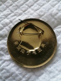 毛泽东诗词 在险峰 像章A