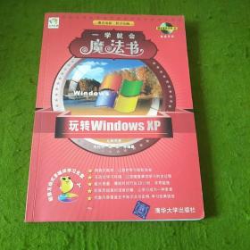 一学就会魔法书：玩转Windows XP